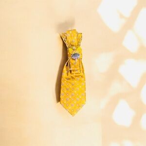 Elegant Gold Necktie with Fairy Brooch